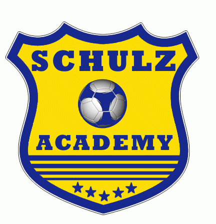 fort lauderdale schulz academy 2010-pres primary Logo t shirt iron on transfers